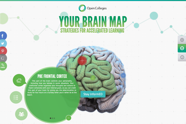Your Brain Map